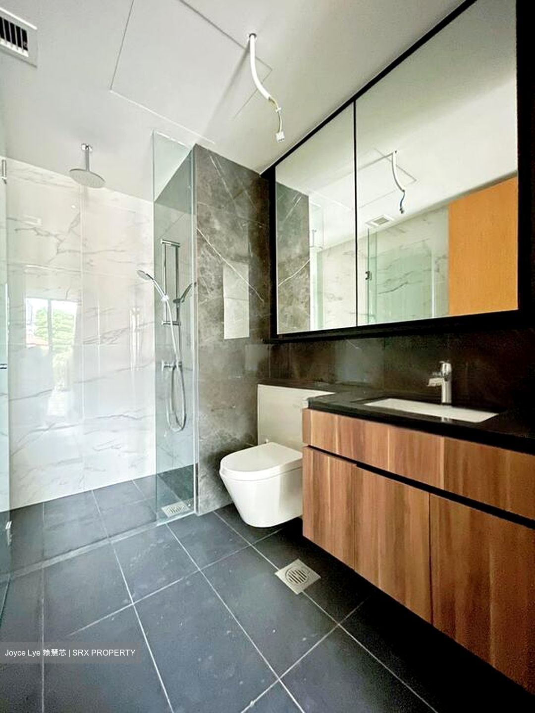 The Verandah Residences (D5), Apartment #578776401